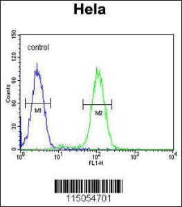 Anti-PLA2G16 Rabbit Polyclonal Antibody