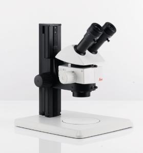 Stereomicroscope