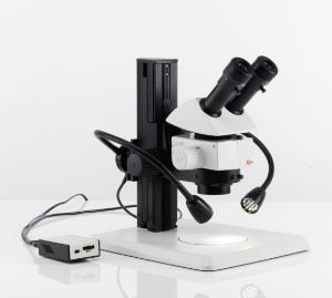 Stereomicroscope