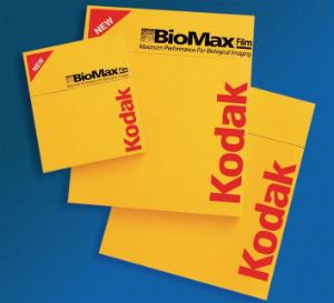 Film, Kodak BioMax®&nbsp;MS