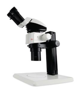 Stereomicroscope