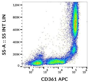 Flow cytometric analysis of human peripheral blood with Anti-CD361 Antibody [MEM-216] (APC)