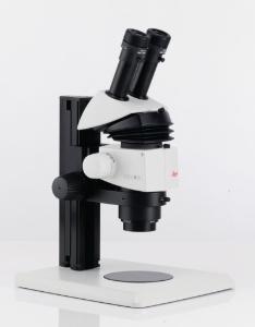 Stereomicroscope