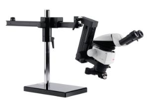 Stereomicroscope