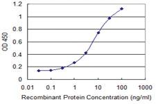 Anti-SNAPC4 Mouse Monoclonal Antibody [clone: 1D1]