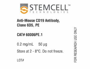 Anti-mouse CD19 antibody, spectrum 6D5, PE