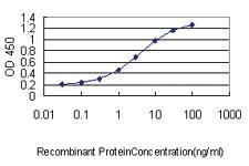 Anti-HMGB2 Mouse Monoclonal Antibody [clone: 4G7]