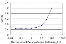 Anti-MS4A2 Antibody Pair