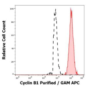 Separation of JURKAT cells stained with Anti-Cyclin B1 Antibody [V152] (concentration in sample is 5 µg/ml, GAM-APC, red-filled) from JURKAT cells unstained by primary antibody (GAM-APC, black-dashed) in flow cytometry analysis (intracellular staining)