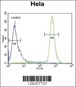 Anti-HS3ST2 Rabbit Polyclonal Antibody