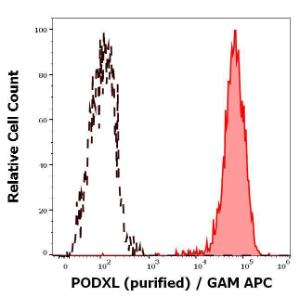 Antibody anti-PODXL PCMAB-47 100 µg