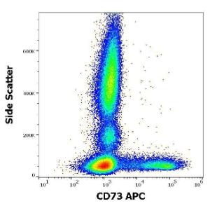 Flow cytometric analysis of human peripheral whole blood stained using Anti-CD73 Antibody [AD2] (APC) (10µl reagent per 100µl of peripheral whole blood)