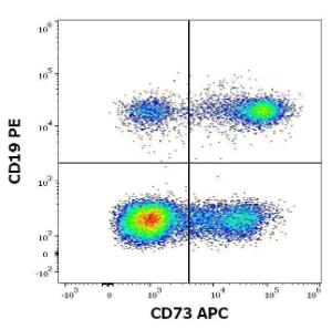 Flow cytometric analysis of human lymphocytes using Anti-CD73 Antibody [AD2] (APC) (10µl reagent per 100µl of peripheral whole blood) and Anti-CD19 Antibody [LT19] (PE) (20µl reagent per 100µl of peripheral whole blood)