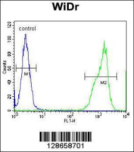 Anti-RT4I1 Rabbit Polyclonal Antibody (AP (Alkaline Phosphatase))