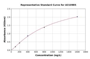 Representative standard curve for Human LRAT ELISA kit (A310985)