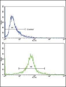 Anti-CDK1 Rabbit Polyclonal Antibody (APC (Allophycocyanin))