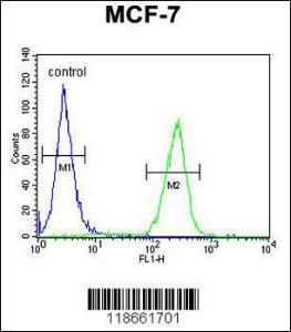 Anti-MYLIP Rabbit Polyclonal Antibody (HRP (Horseradish Peroxidase))