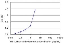 Anti-THTPA Antibody Pair