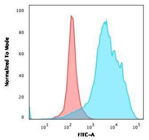 Flow cytometric analysis of PFA fixed U87MG cells using Anti-CD63 Antibody [LAMP3/2990R] followed by Goat Anti-Rabbit IgG (CFand#174; 488) (Blue). Isotype Control (Red)