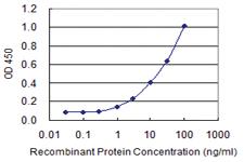 Anti-MYO9A Mouse Monoclonal Antibody [clone: 4C11]