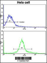 Anti-NANOG Rabbit Polyclonal Antibody