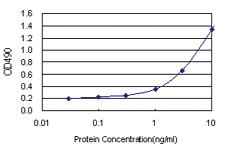 Anti-FCER2 Polyclonal Antibody Pair