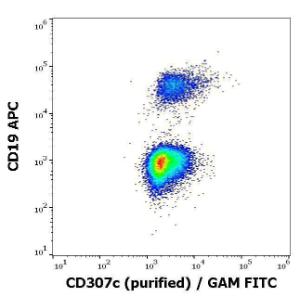 Anti-CD307c Mouse Monoclonal Antibody [Clone: H5]