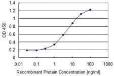 Anti-CTNNB1 Mouse Monoclonal Antibody [clone: 3A1]