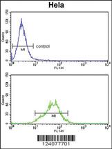 Anti-LDHA Rabbit Polyclonal Antibody