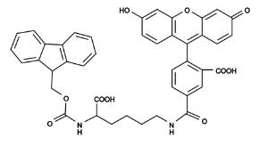 Fmoc-lys(5-fam)-oh 5043 100 mg