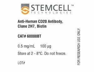 Anti-human CD20 antibody, spectrum 2H7, biotin