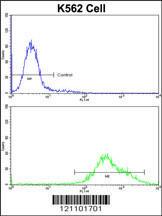 Anti-PAX3 Rabbit Polyclonal Antibody (HRP (Horseradish Peroxidase))