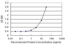 Anti-PPP3R2 Antibody Pair