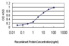 Anti-S100 A10 Mouse Monoclonal Antibody [clone: 4D2-F1]