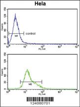 Anti-TNFRSF10D Rabbit Polyclonal Antibody