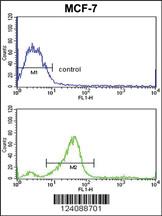 Anti-CHMP4B Rabbit Polyclonal Antibody