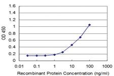 Anti-EIF3H Mouse Monoclonal Antibody [clone: 3B12]