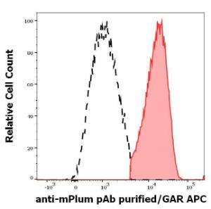 Anti-mPlum Rabbit Polyclonal Antibody