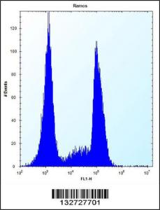 Anti-OR10G9 Rabbit Polyclonal Antibody