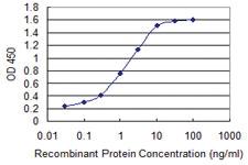 Anti-S100 A10 Mouse Monoclonal Antibody [clone: 3E10]