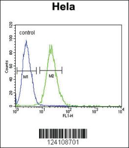 Anti-RPL31 Rabbit Polyclonal Antibody