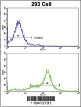 Anti-KRT10 Rabbit Polyclonal Antibody