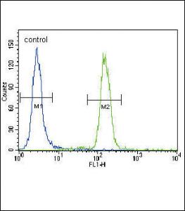 Anti-BBC3 Rabbit polyclonal antibody