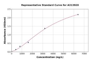 Representative standard curve for mouse Sclerostin ELISA kit (A313920)