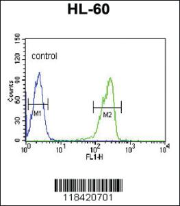 Anti-LRG1 Rabbit Polyclonal Antibody