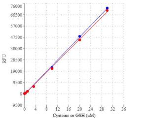 Amplite/trade rapid 5528