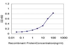 Anti-MED17 Mouse Monoclonal Antibody [clone: 4D4]