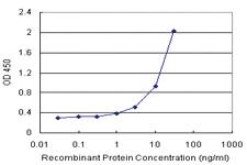 Anti-RAB17 Polyclonal Antibody Pair