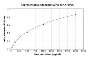 Representative standard curve for Human Filamin B ELISA kit (A78095)