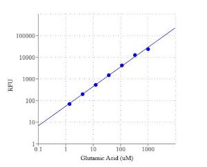 Amplite/trade fluor 10054